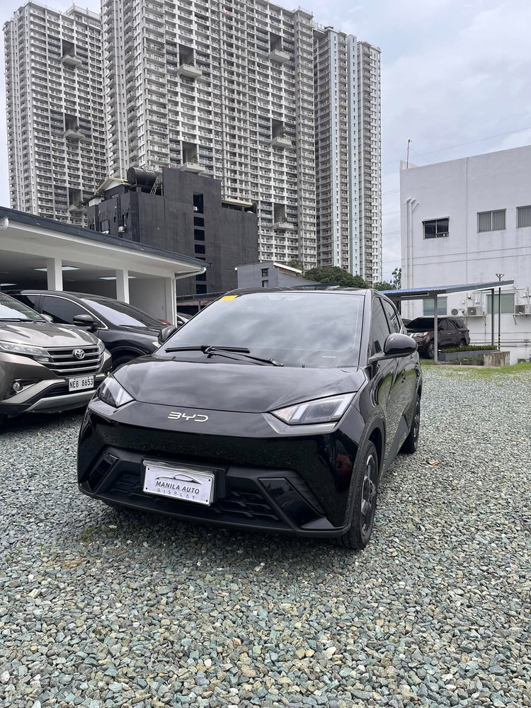 2025 BYD SEAGULL ELECTRIC AUTOMATIC TRANSMISSION